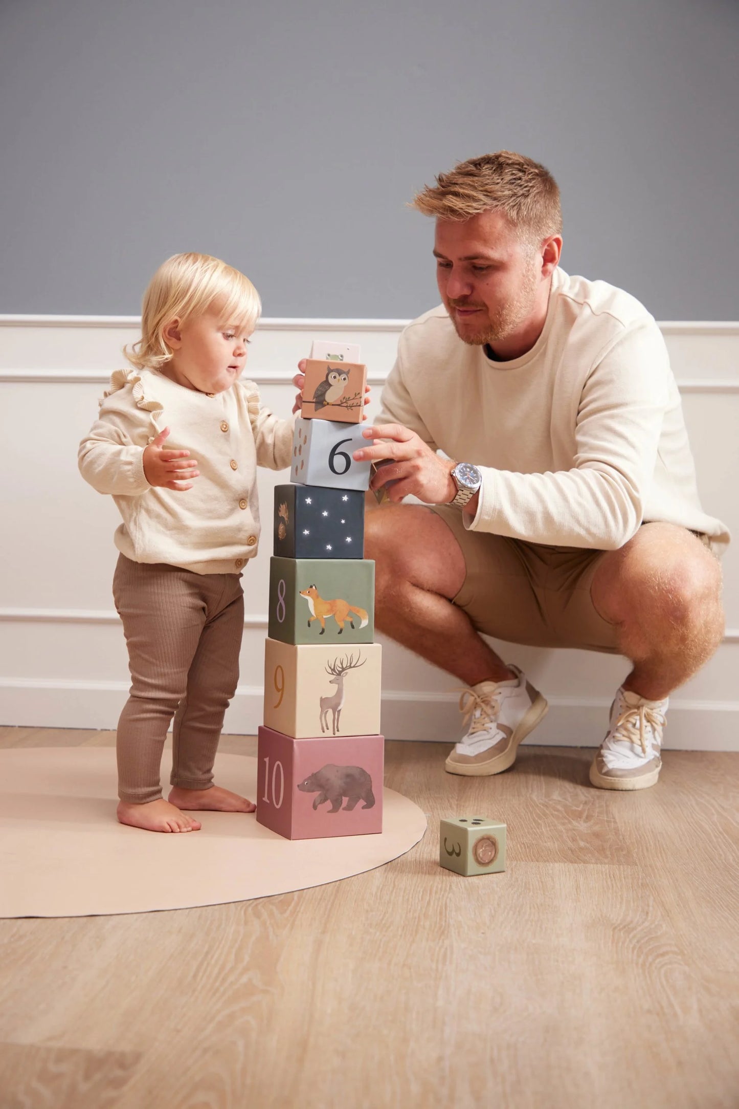 Cubes a empiler - Animaux nordiques