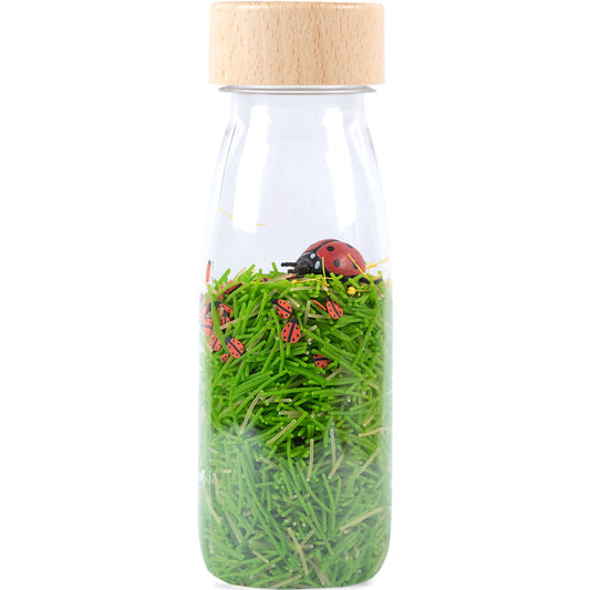 PETIT BOUM SOUND BOTTLE LADYBIRDS